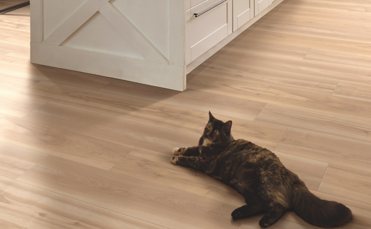 kitchen with wood-look floors and a black cat laying down